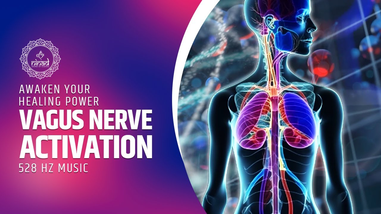 Vagus Nerve Activation Awaken Your Healing Power Heart Health