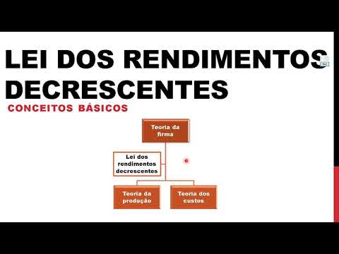 Vídeo: Como uma empresa percebe que está tendo retornos decrescentes?