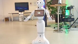 Pepper  der menschliche Roboter