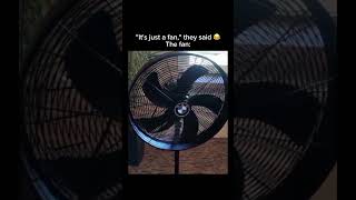 "Just a fan," they said. The fan: 😂🌪️ Subscribe for more! #shorts