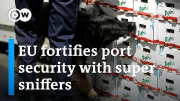 How the EU strengthens its border security to combat drug smuggling | DW News