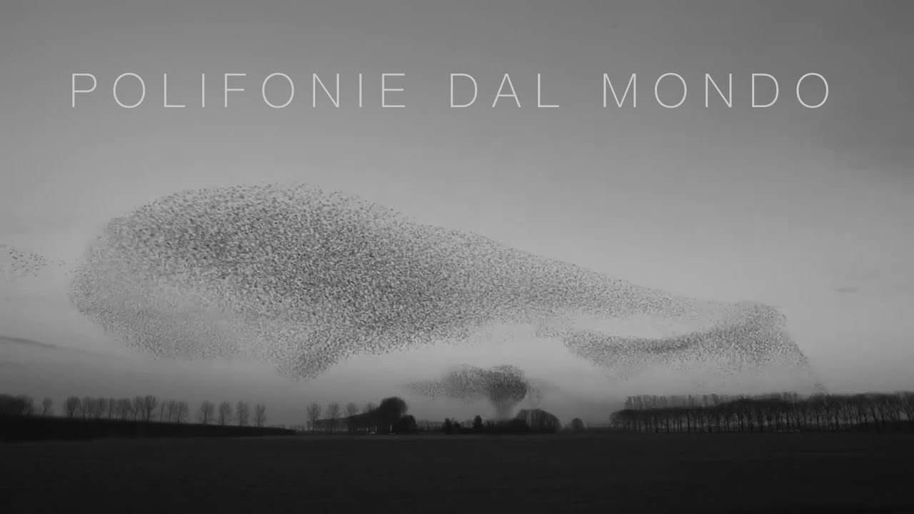 Lorenzo Sansoni e coro Goccia di Voci It - Polifonie dal mondo teaser #2