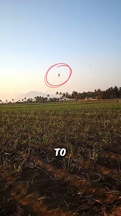 Boy Gets Carried Away By His Giant Kite… Literally! 😱🪁