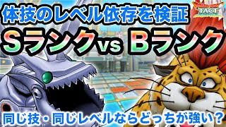 【ドラクエタクト】体技、息のレベル依存って本当？SランクとBランクで検証！【無課金攻略】