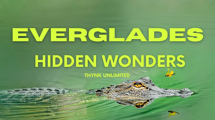 Unveiling the Hidden Wonders of Everglades National Park: A Wildlife Adventure like Never Before!