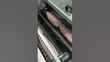 CNC Fish slicer for fish processing factory