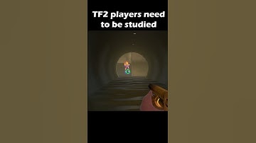 TF2 players need to be studied #tf2 #tf2memes #fyp