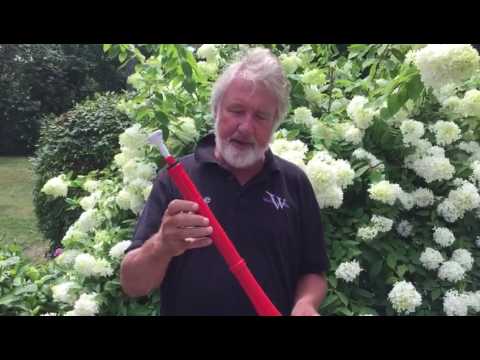 Jiggs Whigham Plays pBuzz! | pBuzz Demo | pBone Music