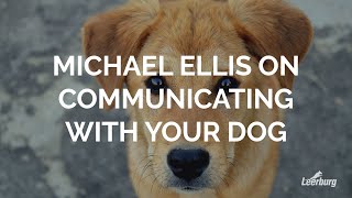 Michael Ellis on Communicating with Your Dog