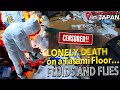 [VIEWER WARNING] Lonely D**th on a Tatami Floor…Fluids and Flies / Biohazard Cleaning