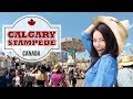 Calgary stampede  travel guide 