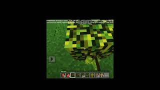 I Play Minecraft new player Minecraft I found bamboo #shorts