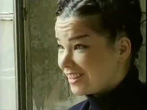 Video: Bjork Net Worth