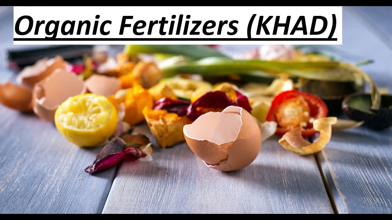 4 Best Home Made Organic Fertilizers for Plants / NPK