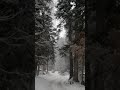 Beautiful Relaxing Classical Music #relaxingmusic #shorts #sonataecho