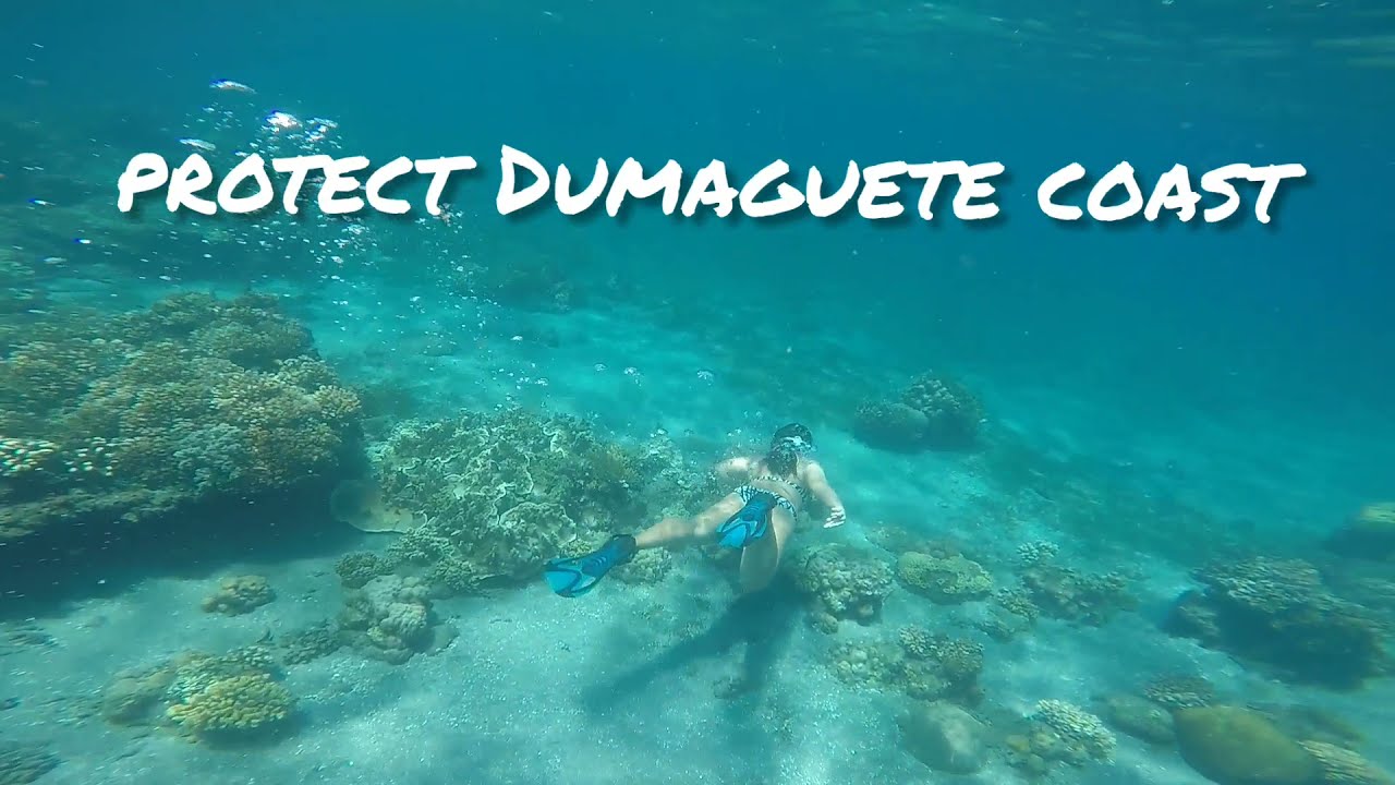 Island Living Logs: Bacongham Snorkel Session 8.22.21