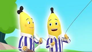 The Mixed-Up Message | Bananas in Pyjamas Season 2 | Full Episodes | Bananas In Pyjamas