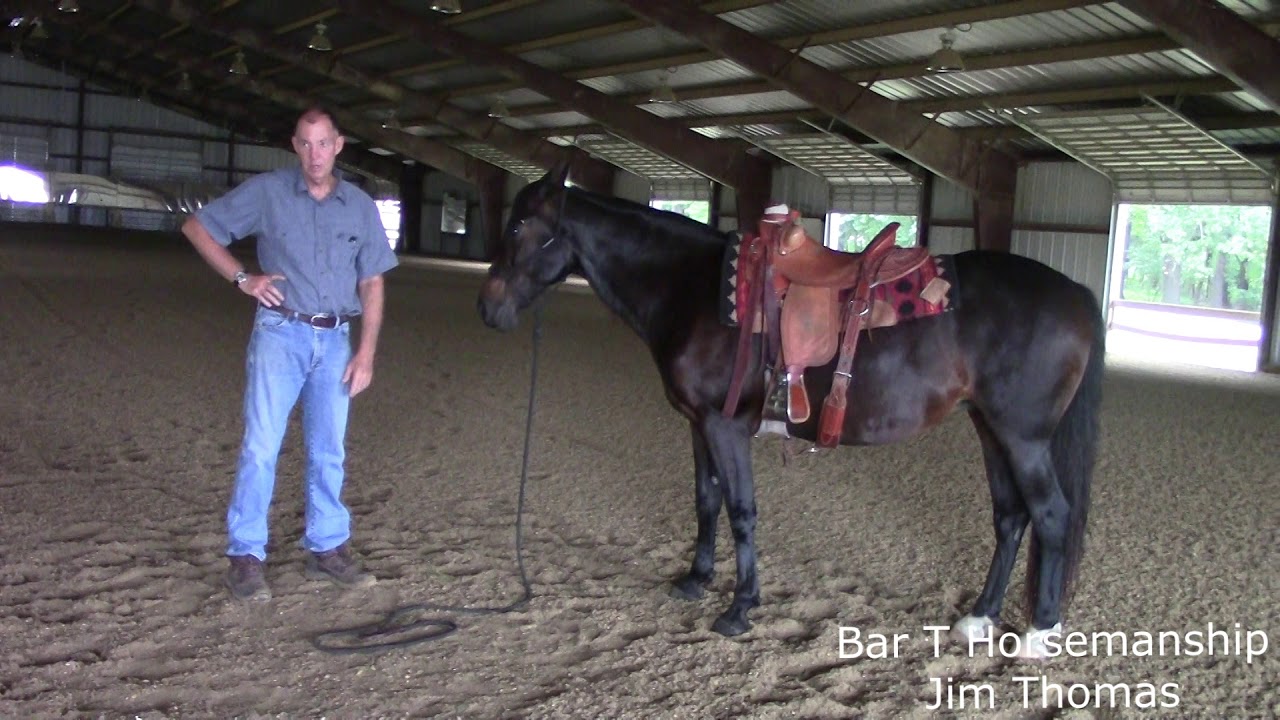 Bar T Horsemanship: Brain Works and Ground Work