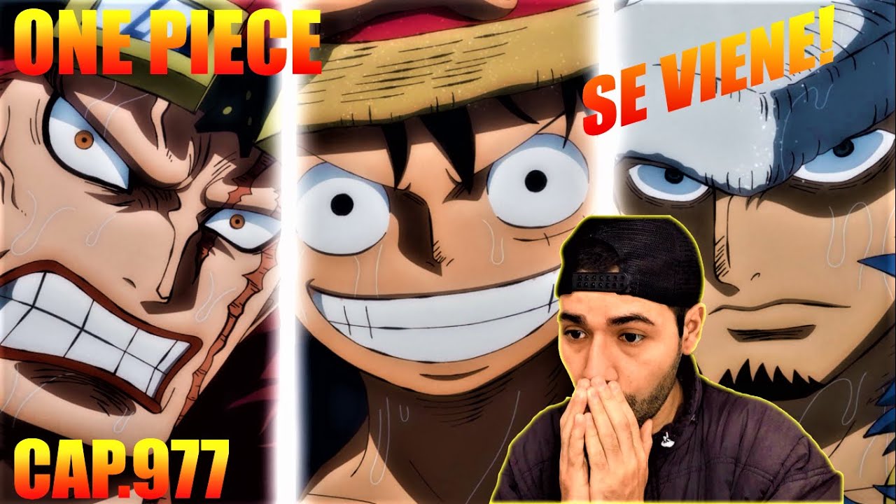 El Traidor Luffy Law Kid Llegan Reaccion Reaction One Piece 977 Youtube
