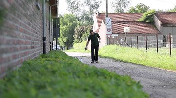 Hoe gebruik je de  onkruid- en mosbestrijder Ultima PRO?