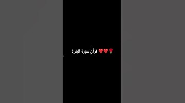 سورة البقرة #عبدالباسط_عبدالصمد #تلاوة_مرتلة #قرآن_كريم #تلاوة_مجودة #video #اكسبلور #اعتني #لايك