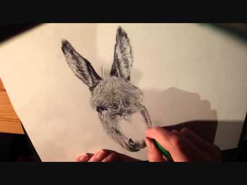 Drawing with Charcoal