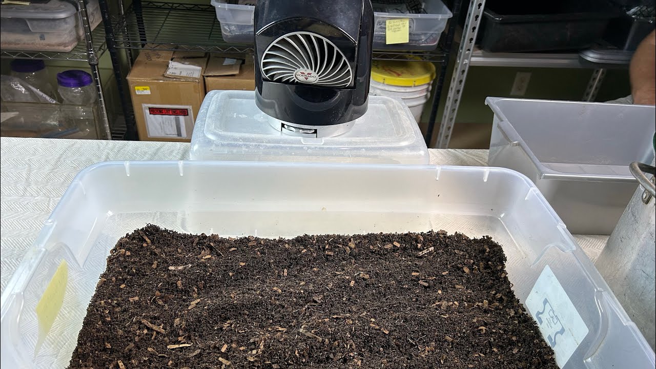 First Time Breeder Bin Cycle Results Plus Using a Fan for the First