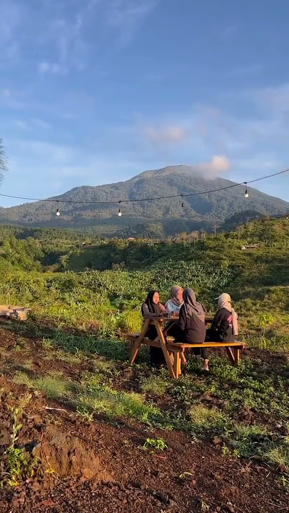 Suasana pagi di kuningan #youtubeshorts #feedshorts #shorts #nature