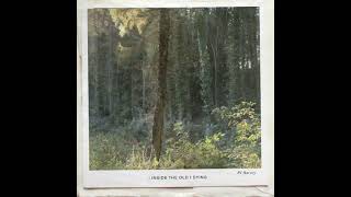PJ Harvey - I Inside The Old  I Dying