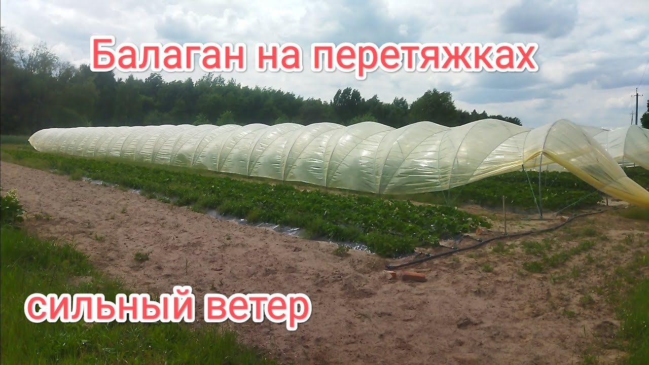 Балаган на перетяжках во время сильного ветра, нюансы и подтяжка пленки