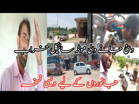janvaron ke liye desi nuskha/Rizwanvlog - YouTube