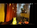 Wife’S Birthday Vlog