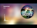 AWERS - Easy Grooves on Lounge Fm #20 (Deep House, Nu-Disco)