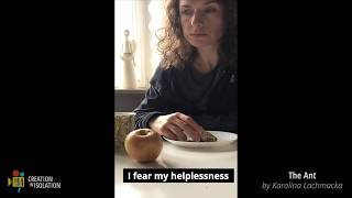 The Ant | Creation in Isolation