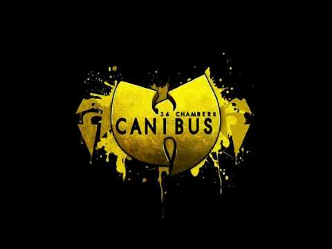 An eyewitness  account of the legendary Canibus vs Wu Tang Clan battle