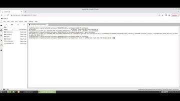 Building an AI Data Pipeline w/NetApp and NVIDIA v1.3A (2) Prepare a Gold Source Workspace