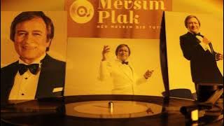 Erol Evgin - Hep Böyle Kal - Plak Kayıt