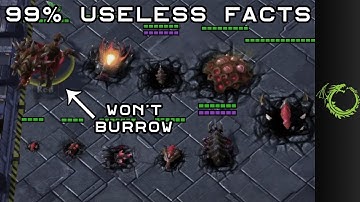 Inconsistent burrow behavior? Useless Facts #89