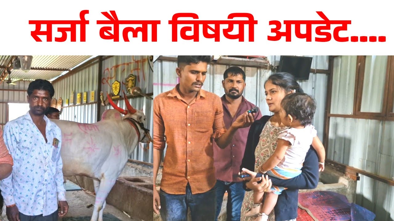 निंबाळकर सर यांच्या सर्जा ची अपडेट