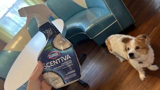 Clorox Scentiva Disinfecting Multi-Surface Cleaner Spray & Disinfecting Wipes, Pacific Breeze & Coco
