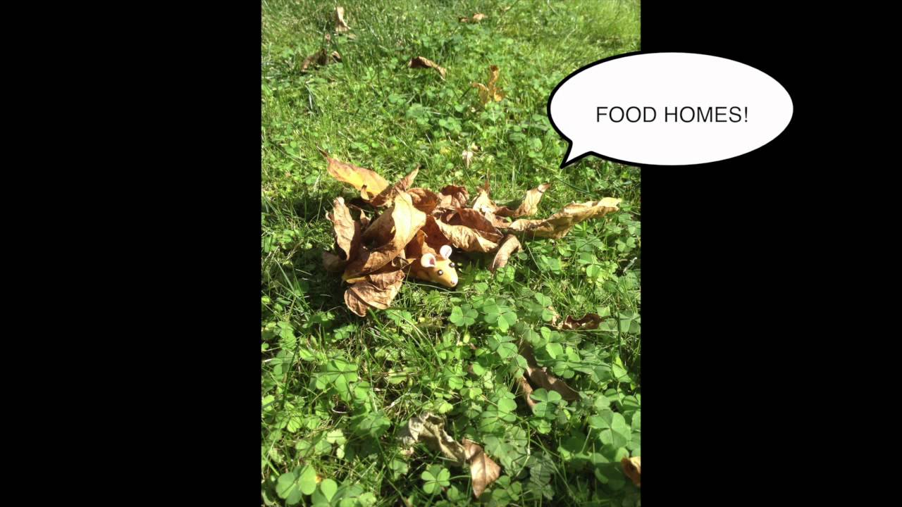 Save the Harvest Mice