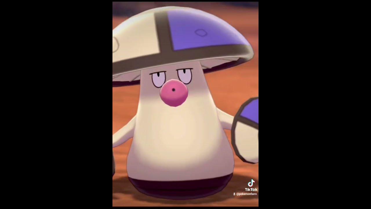 Mushroom Dance Mushroom Dance Whatever Could It Mean Mushroom dance. Mushroom dance. Whatever could it mean? #Shorts - YouTube