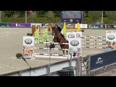 R-Damienko de Jeval 7/8 yo CSIYH Final Opglabbeek jo