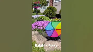 Rabih ربيع Is An Arabic Name That Means Spring 