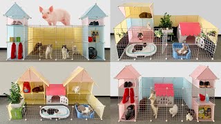 Top 7 DIY House & Play Area For Pomerania2 Puppies & Kitten At Home Ideas  Mr Pet Family #2