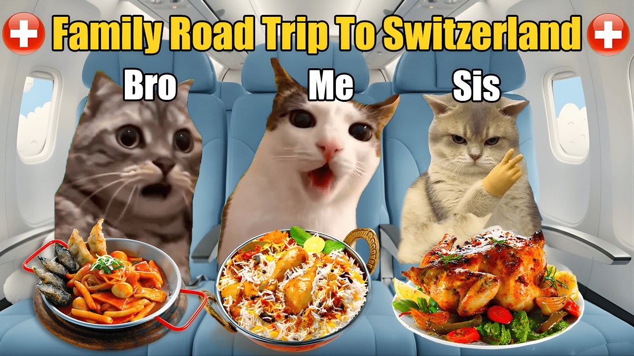 CAT MEMES | FUNNY CAT FAMILY ON A CRAZY TRIP TO SWITZERLAND