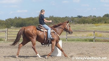 Streakin Bridless - running the barrels #4 - Valley View Ranch