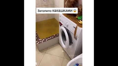 Ужасы квартир на 1 этаже #приколы #tiktok #shorts #Instagram
