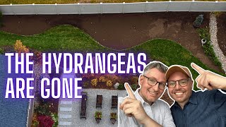 Celebrity Transforming Our Garden 🍁 Removing Our Hydrangea Hedge and Plans for the Future! Profile