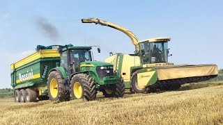 TRITICALE SILAGE Krone BigX V12 + XDisc 6200 + John Deere 7280 R + 7920
